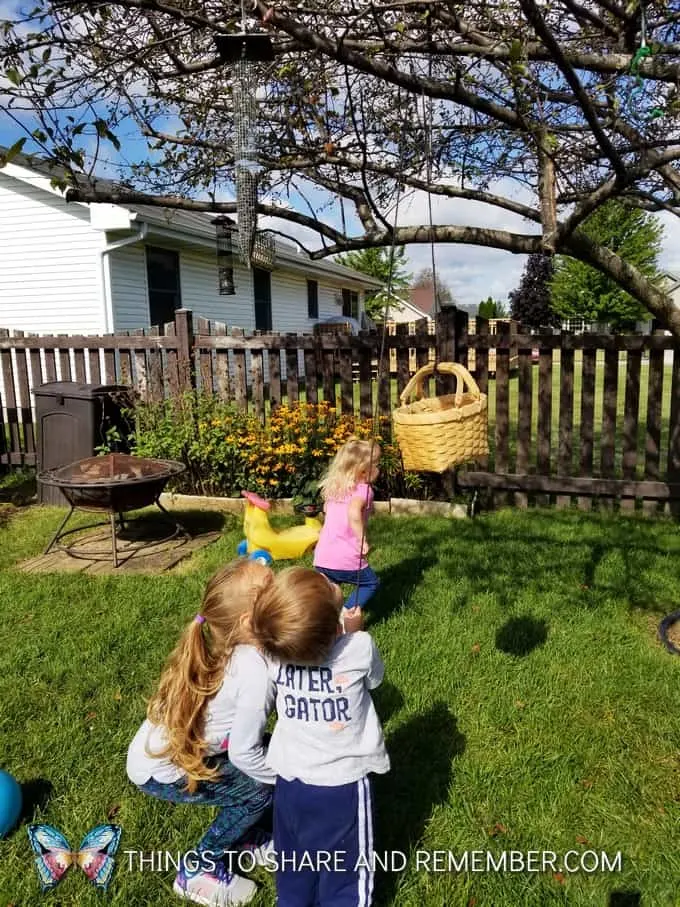 Pulley Basket STEAM Activity