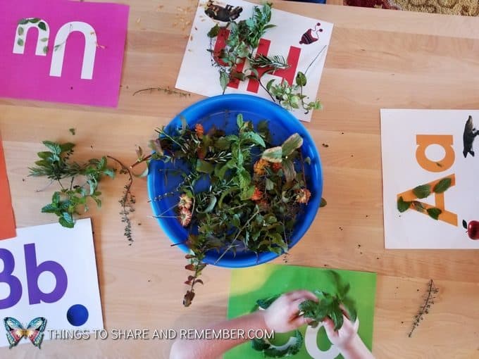 hands-on literacy activity using nature for preschool