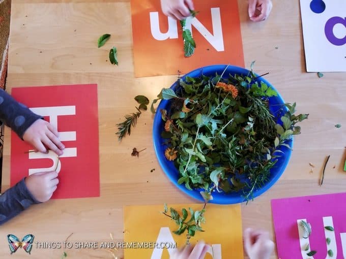 preschool nature letters activity with sticks and leaves