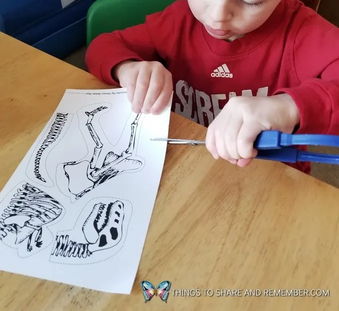 Preschool Paleontologists preschool cutting practice