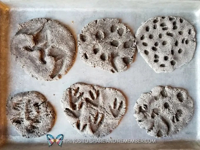 Dinosaur Fossil Clay Recipe dinosaur fossils