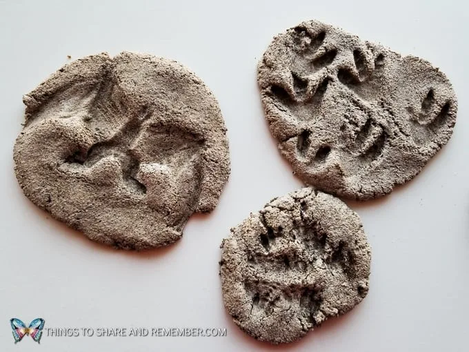 make your own dinosaur fossils