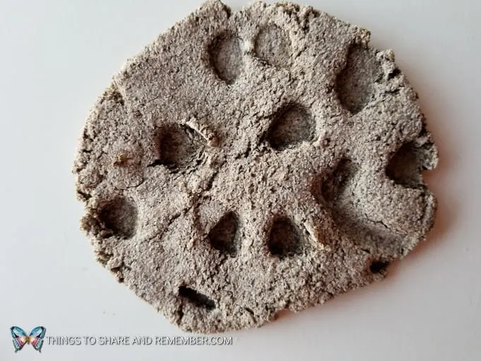 Dinosaur Fossil Clay Recipe