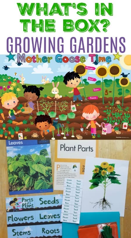 Preschool planting a garden theme