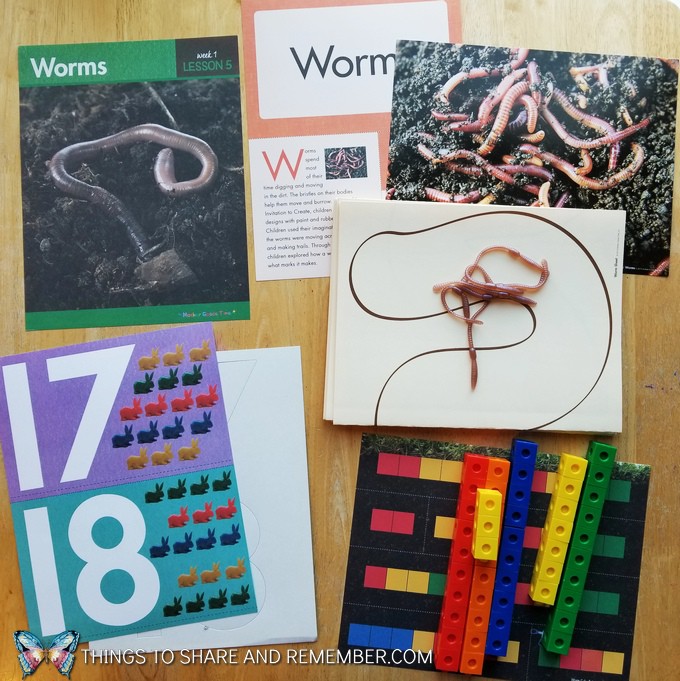 What's in the Box? Growing Gardens Preschool Theme worms