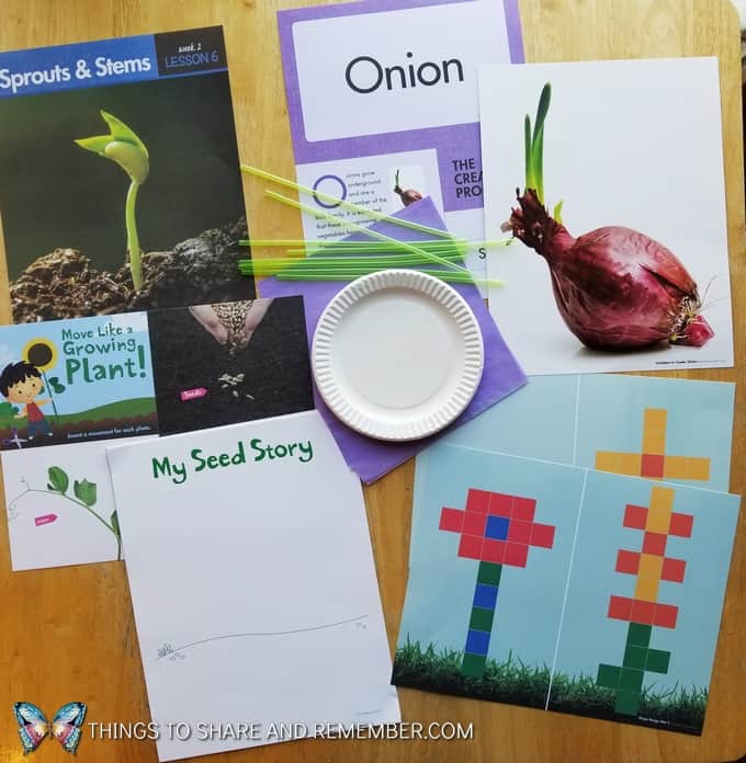 What's in the Box? Growing Gardens Preschool Theme