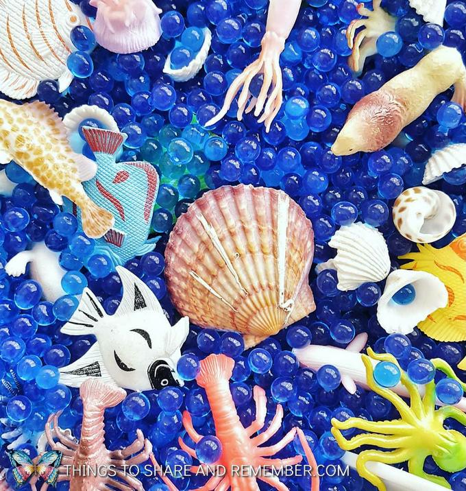 Create an Ocean Creature Sensory Bin