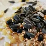 Creating Seed Mosaics