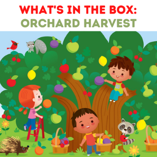 What's in the box orchard harvest featured