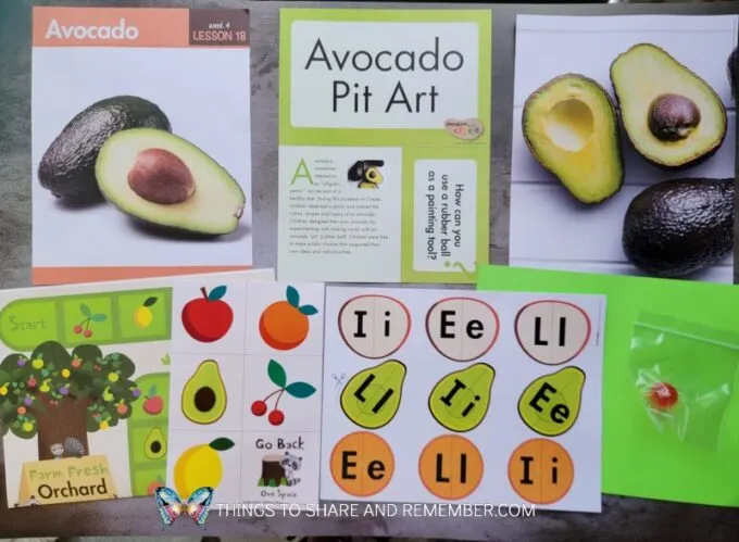 avocado lesson 18
