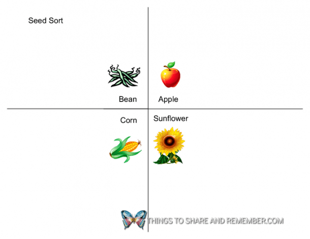 Seed Sort Apple Seed Art » Things to Share & Remember