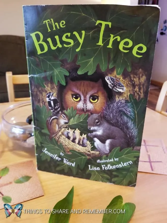 Busy Tree book about trees