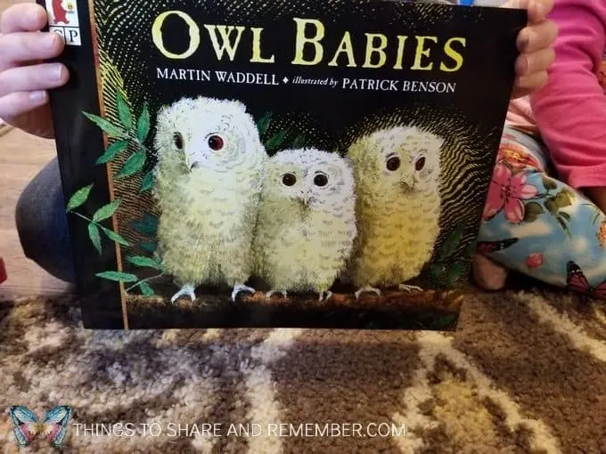 Story time book Owl Babies by Martin Waddell for preschool sights and sounds of winter theme 