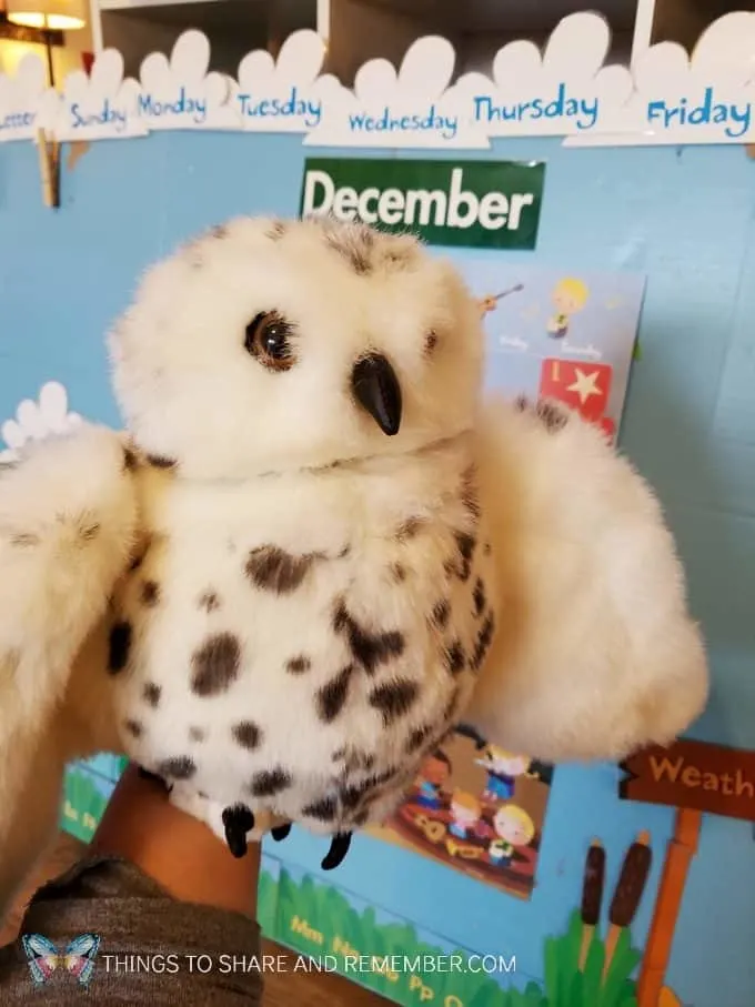 Owl puppet for owl preschool lessons winter theme Sights and Sounds #MGTblogger #MotherGooseTime #SightsandSounds
