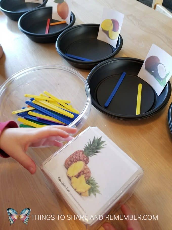 Playing fill the fruit basket game from Mother Goose Time // Going on Safari Life On the Grasslands Preschool theme about food people and animals eat. Try new fruits, learn about letter C, open a coconut, play a filling fruit baskets game and learn about the safari food web. Read the book Handa's Surprise and see what happens with her basket of fruit. Fun ways for preschoolers to learn about the safari theme. #MGTblogger #MotherGooseTime #GoingOnSafari #preschool #ece