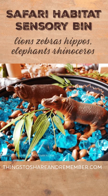 Going on Safari Habitat Sensory Bin #MGTblogger #GoingOnSafari #MotherGooseTime #preschool #sensory #ece #safaritheme #sensorybin #invitationtoplay #smallworldplay