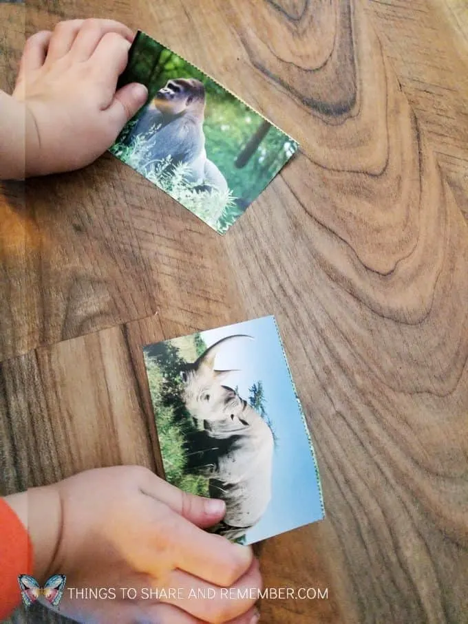 Safari animals matching cards Going on Safari preschool theme binoculars craft and related activities for preschoolers #MGTBlogger #MotherGooseTime #preschool #preschoolcurriculum #GoingOnSafari #safaritheme