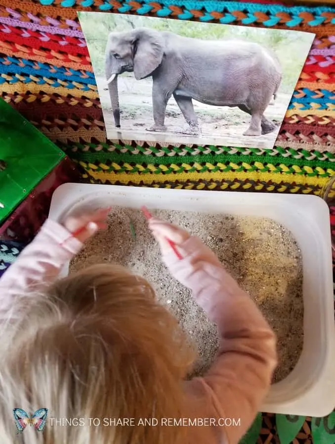 elephant tusks digging for number leaves sensory and math activity for preschoolers from Mother Goose Time #MGTBlogger #MotherGooseTime #GoingOnSafari #preschool #ece