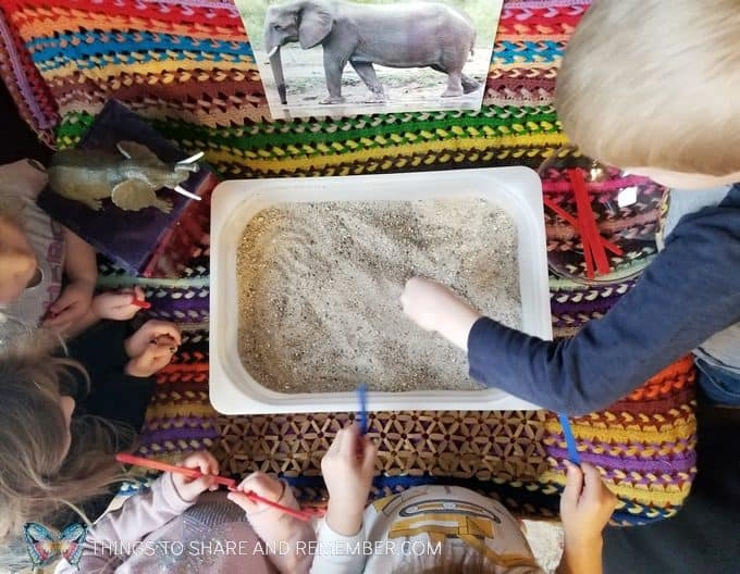 elephant tusks digging for number leaves sensory and math activity for preschoolers from Mother Goose Time #MGTBlogger #MotherGooseTime #GoingOnSafari #preschool #ece