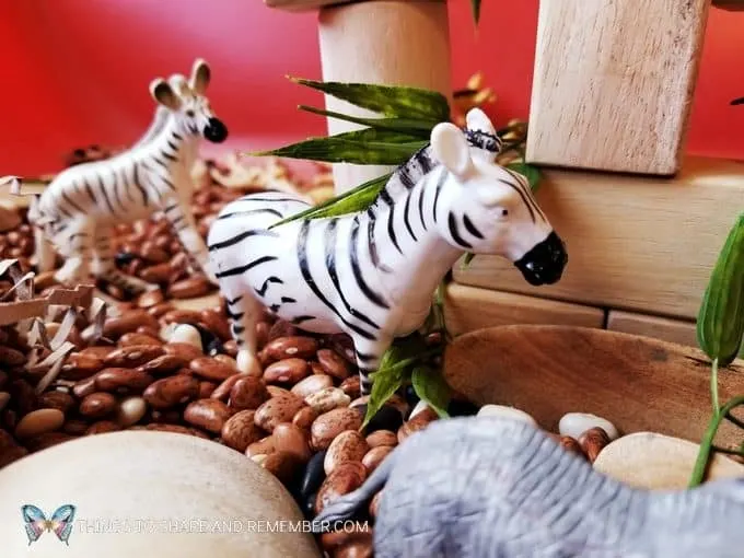 zebras in the Safari Habitat Sensory bin with animals for preschoolers Going on Safari theme from Mother Goose Time preschool curriculum #MGTblogger #MotherGooseTime #preschool #GoingonSafari #sensorybin #sensoryplay #smallworld #invitationtoplay