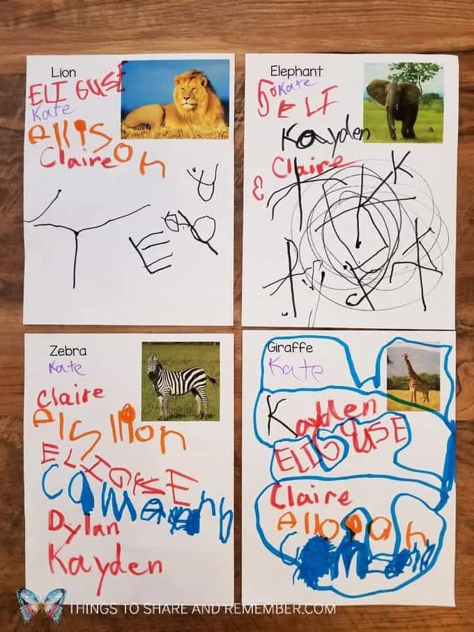 Name writing activity going on safari signing in to see the animals Passport to Safari passports, maps, writing and stamping activities for preschool Going on Safari theme #MGTblogger #MotherGooseTime #GoingOnSafari