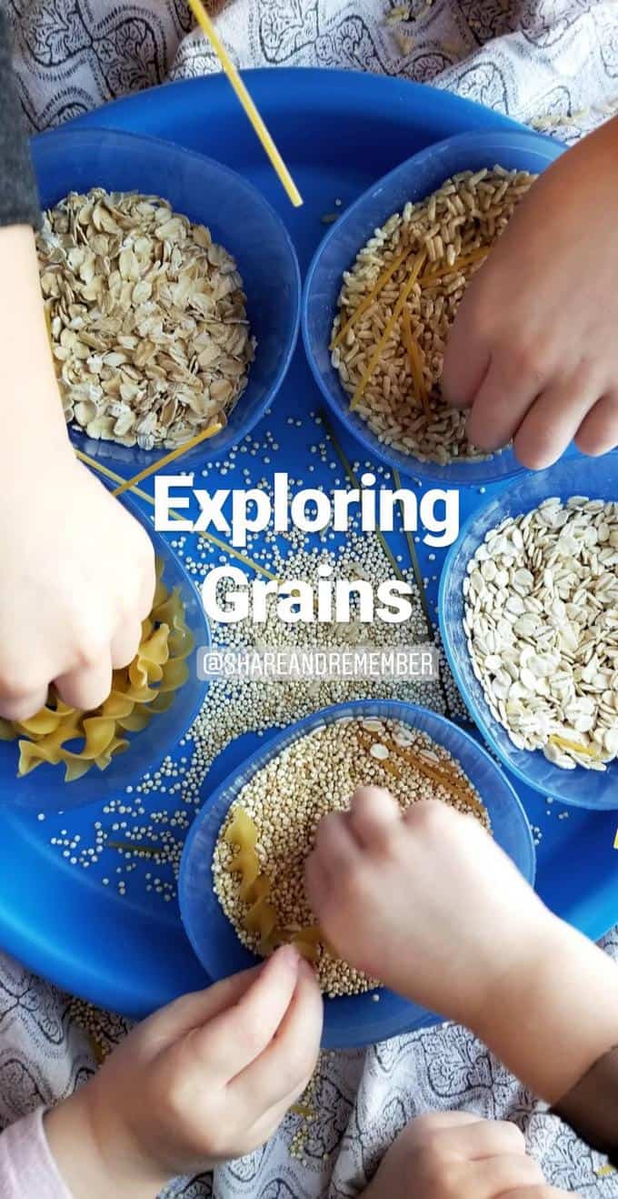 Exploring Grains Preschool Activities » Share & Remember Celebrating
