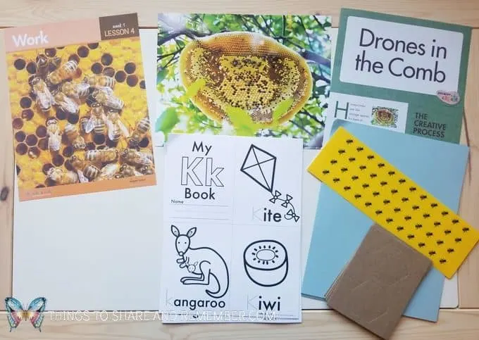 lesson 4 work - Drones in the Comb letter K letter books  bees and butterflies theme
