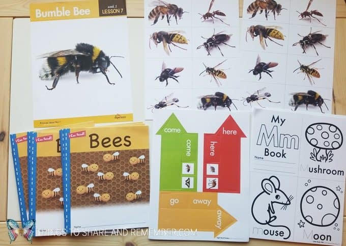 Lesson 7 - Bumblebee, I Can Read books, matching cards and Letter M books bees and butterflies theme