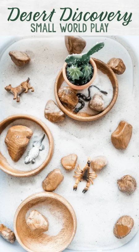 Desert Diorama Science & Nature STEAM Station play idea from Mother Goose Time in this month's preschool theme Desert Discovery. #MGTblogger #MotherGooseTime #DesertDiscovery #deserttheme #smallworldplay #sensoryplay #sensorybin #invitationtoplay