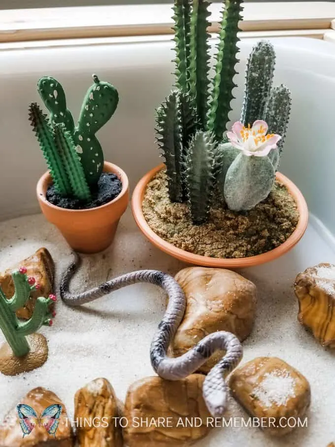 Desert Diorama Science & Nature STEAM Station play idea from Mother Goose Time in this month's preschool theme Desert Discovery. #MGTblogger #MotherGooseTime #DesertDiscovery #deserttheme #smallworldplay #sensoryplay #sensorybin #invitationtoplay