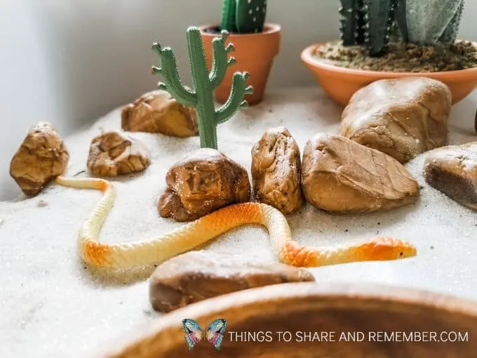 Desert Diorama Science & Nature STEAM Station play idea from Mother Goose Time in this month's preschool theme Desert Discovery. #MGTblogger #MotherGooseTime #DesertDiscovery #deserttheme #smallworldplay #sensoryplay #sensorybin #invitationtoplay
