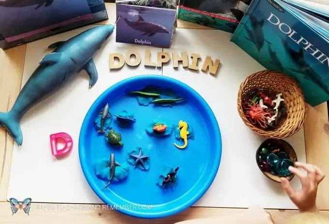 D is for dolphin sensory play tray