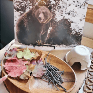 B is for Bear Den Winter in the Woods Experience Early Learning Preschool Curriculum