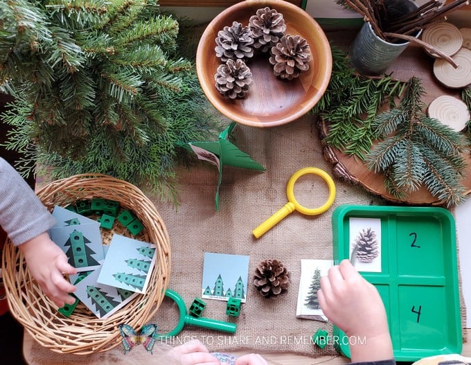 pine tree investigation table activities