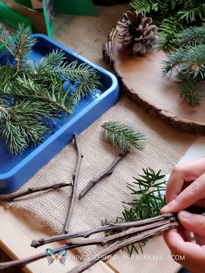 sticks pine tree investigation
