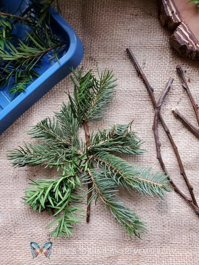 make a pine tree natural loose parts
