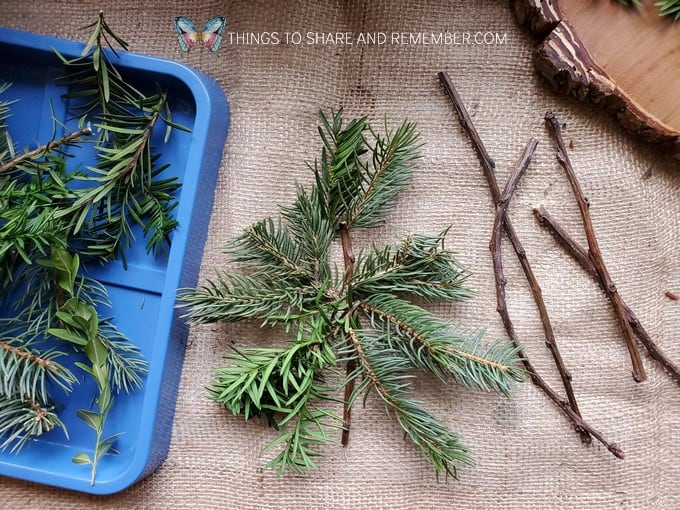 design your own pine tree