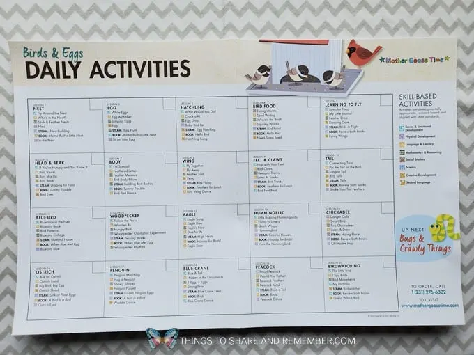 Experience Preschool Daily Activities calendar What's in the Box? Birds & Eggs