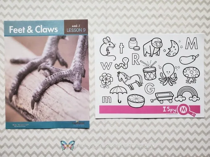 Lesson 9: Feet & Claws