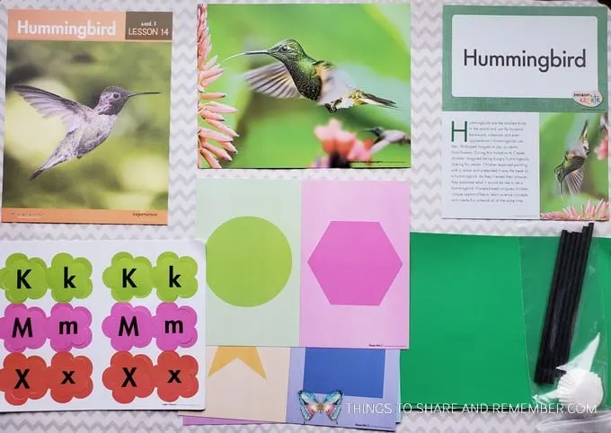 Lesson 14: Hummingbird