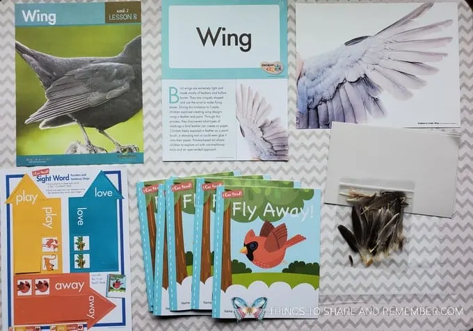 Lesson 8: Wing