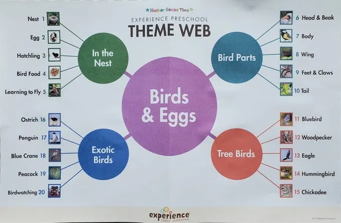 What's in the Box? Birds & Eggs theme web Experience Preschool