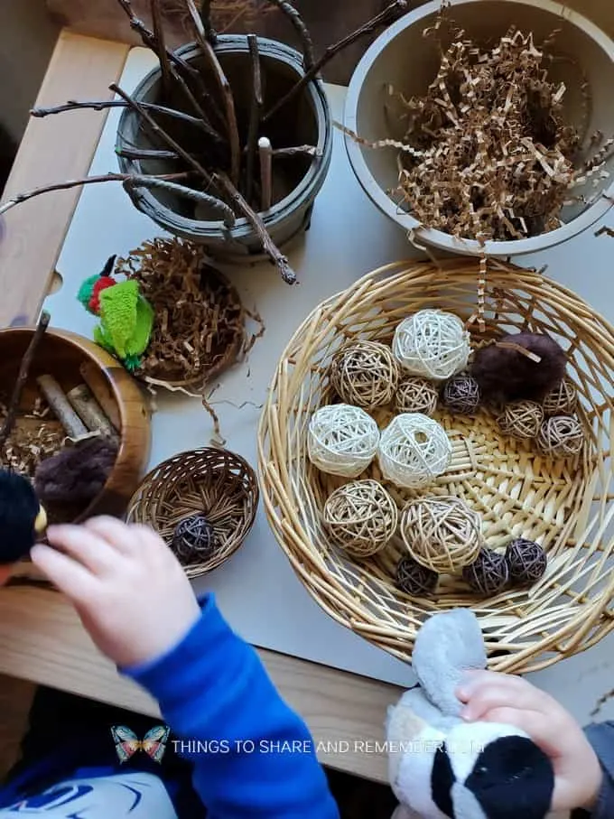 Build a Bird Nest Preschool Activity