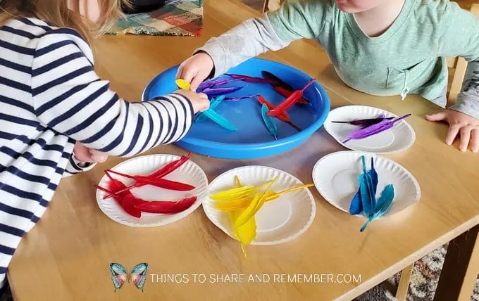 sorting feathers by color for Birds & Eggs preschool curriculum theme