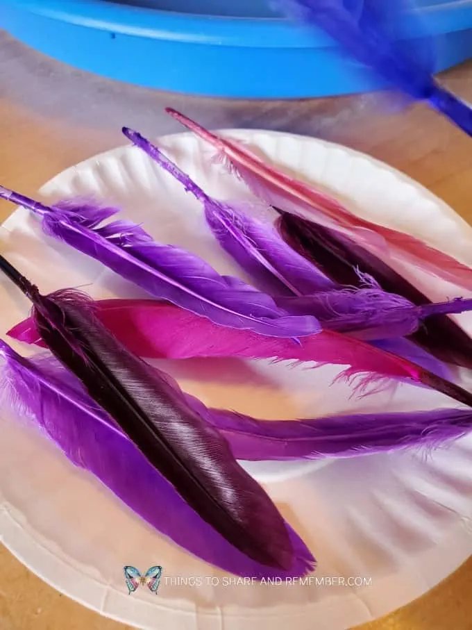 purple feathers on a plate Birds & Eggs theme