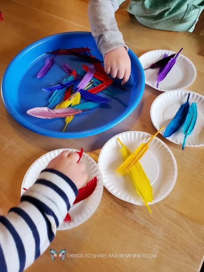 sorting feathers by color in preschool 