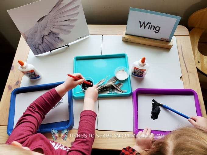 Bird Wing Art from Experience Preschool curriculum Birds & Eggs Theme
