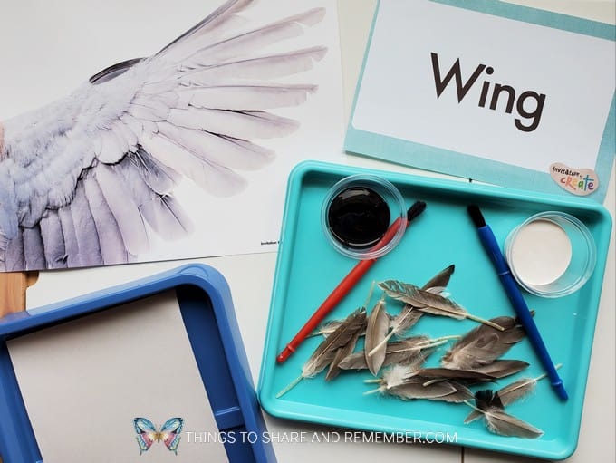 Bird Wing Art from Experience Preschool curriculum Birds & Eggs Theme