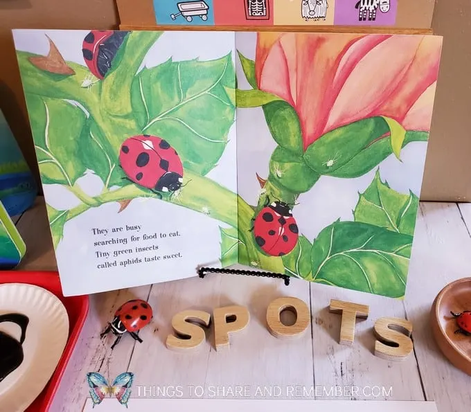 painting ladybug spots activity table for preschoolers