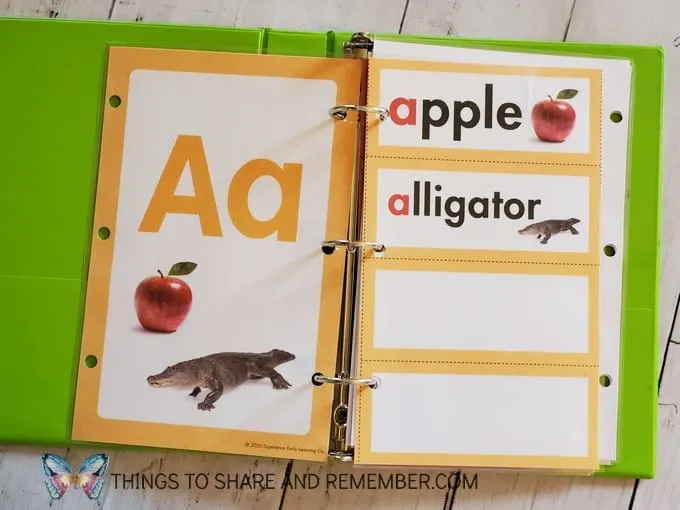 Letter A alphabet card and word wall cards from Experience Curriculum